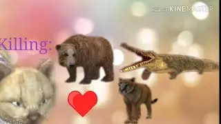 Killing: crocodile, bear, puma, +plays online. ||Cat Sim|| By: Венера or Darkness