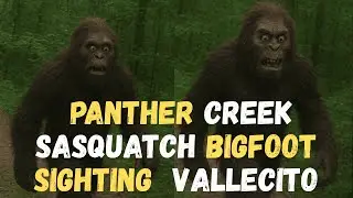 Panther Creek Sasquatch on Google Maps & Bigfoot Sighting at Vallecito | Shocking Evidence!
