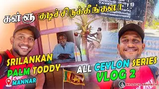 Day-1 இலங்கை கள்ளு கடை Tour டூர்🔥🧉#toddyshoptour #palmtree #Toddy #no1trending #explore #srilanka