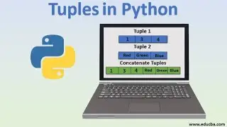 Basic Tuple Operations