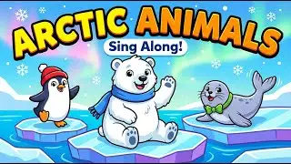 Arctic Animals Song | Polar Bear, Penguin, Seal & More | Kids Learning Music