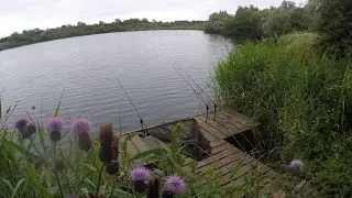 Embryo crown. My first session on this difficult syndicate water.