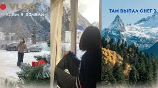 VLOG: Еду в Домбай с семьей! 🏂❄️                       ( там выпал снег?😱)