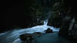 LIVE Natural Sleep Aid  Calming River Ambience with Waterfall, Birds & Soft Piano