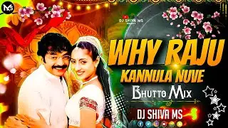 Why Raju Kannula Nuvve Dj Song || Mix By Dj Shiva Ms