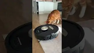 Shark Robot Vacuum & Mop Combo #vacuum#sharkvacuum #vacuumcleaner #amazonhome #amazonfi #amagadgets