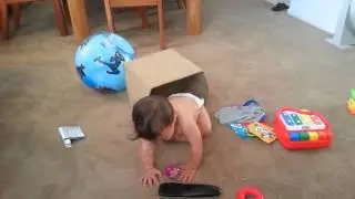 NJ playing in the toy box