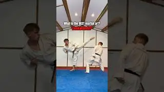 What is the BEST martial art?
