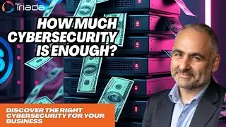 How Much Cybersecurity Is Enough for a Company My Size?