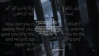 |Daily Quran verses-2| #quran