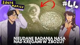 Wszystkie tajemnice KRĘGÓW W ZBOŻU... | Żółte Napisy #44