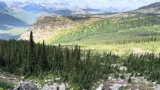 Wild flowers in Glacier National Park @ conscious aging with Gigi