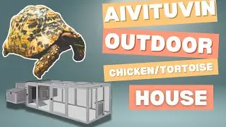 Using AIVITUVIN Chicken Run, For Tortoises