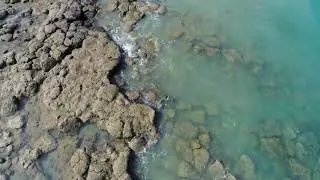 Darwin Promo Videos 2