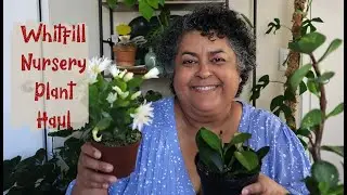 Whitfill Nursery Plant Haul | Houseplant Haul 2021