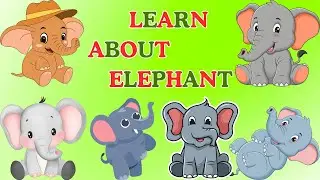 Learn About Elephant in english with video | #elephants#kindergartenkids #kidslearningvideos #learn