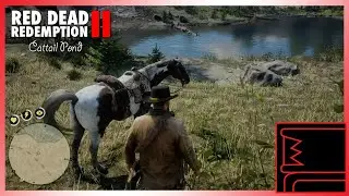 Red Dead Redemption 2: Cattail Pond 2025