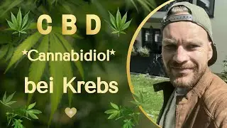 🌱 Marco Engelbrecht: Was CBD wirklich kann - Wirkung, Herstellung und Dosierung.