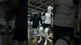 One Set to Failure Is Why Your Arms Aren&rsquo;t Growing