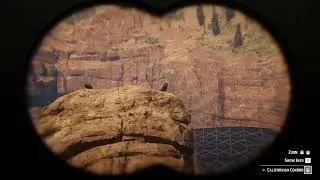 29. Californian Condor location RDR2