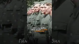 Почему Вермахт ненавидел СС? #shorts #втораямировая