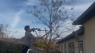 self employed gardener | work day