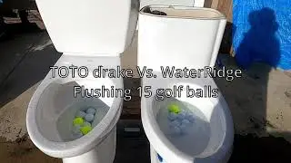 TOTO drake Vs. WaterRidge flushing golf balls