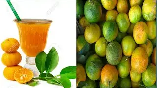 chinese orange Squash and making juice/Bush orange /TWINS PARK