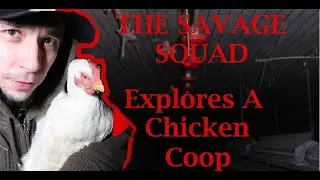 A Scary Chicken Farm