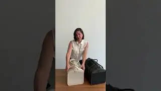 Introducing your kitties new favourite cat carrier