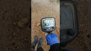 Treasure Hunt in the River with the Metal Detector #shorts #metaldetecting #treasure