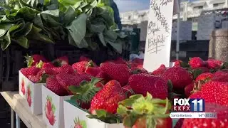 Pismo Beach farmers market makes comeback this week