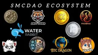 Sir Mapy Gave Me Full List Of Smcdao Projects - Wikicat,Ocicat,Defi Tiger,Giant Token Etc