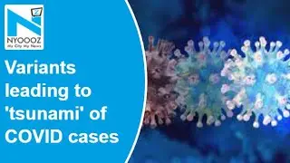 Delta, Omicron variants leading to 'tsunami' of COVID cases, says WHO chief