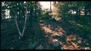 Glidecam HD 4000 Test