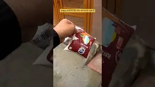 Country delight delivery rider #shorts