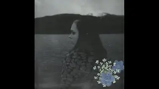 Soccer Mommy - Driver