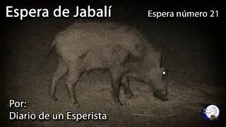 Espera de Jabalí. Espera número 21. Día completito...