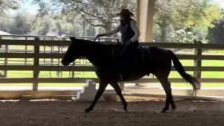 SUNSO Mar./Ranch Rail Green HR WTL/FQHR Sweet Whiskey/Mary Ann Kocolowski