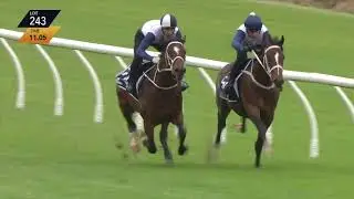 First Light Racing's Exceed And Excel x Ivyrose colt with trainers Trent Busuttin & Natalie Young
