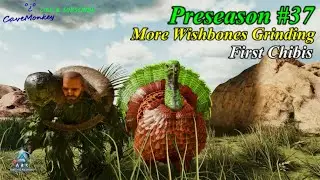 ARK Ascended Preseason #37 : Turkey Trial 2
