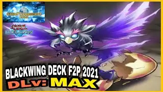DLv MAX: BLACKWING DECK F2P 2021!KC Grand Tournament 2021! Yu-Gi-Oh! Duel links.