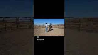 First ride for Emerald, 3 year old Mangalarga Marchador