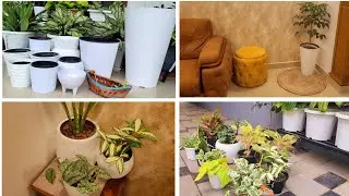 New Indoor Pots & Plant Styling Malayalam | Subina Nishad