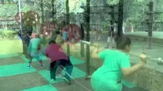 FIT FATAANG