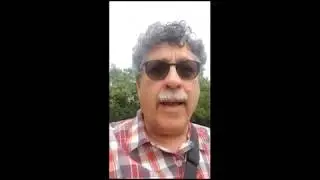 Dr. Marty and the WSA
