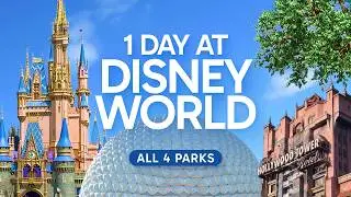 1 Day at Disney World: 4 Parks with Park Hopper... Can We Actually Pull It Off?