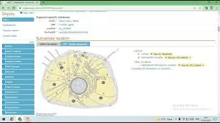 ACESSING SWISS PROT  DATABASE