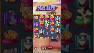 BIG WIN  on PUG LIFE Super Bonus (&pound;0,40) Slots Casino 🎰🎰
