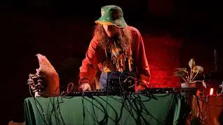 Green Jesus Live - Muzyka z Grzybów Muzyka z Roślin